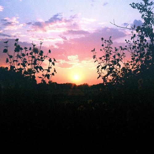 Gnash - Time