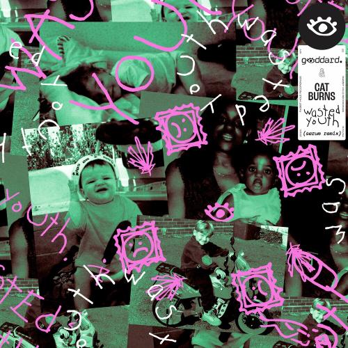 Goddard. feat. Cat Burns - Wasted Youth (Serum Remix)