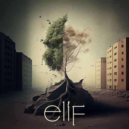 Elif - Gökhan Türkmen & Serkan Emre Çiftçi