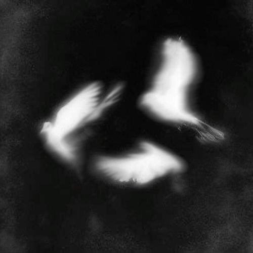 gostlxne - Failed Attempt