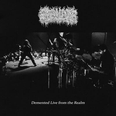 Demented Visions of the Infinite Power Live - Gosudar
