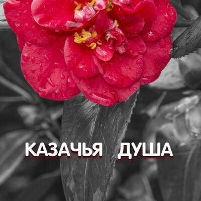 КАЗАЧЬЯ ДУША - Гравитация