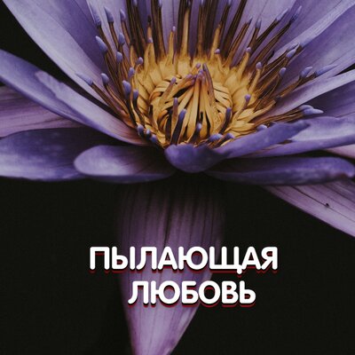 ПЫЛАЮЩАЯ ЛЮБОВЬ - Гравитация