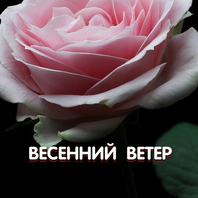 ВЕСЕННИЙ ВЕТЕР - Гравитация