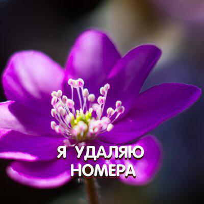Я УДАЛЯЮ НОМЕРА - Гравитация