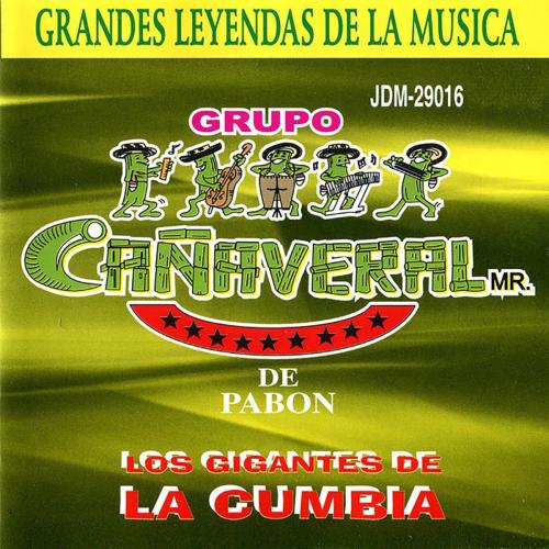 Mega Mix No Mientas Mas Tiene Espinas el Rosal Hasta el Cielo Lloro Echarme al Olvido Vete Estoy Enamorado de Ti Vuelvo a Sentir - Grupo Canaveral de Humberto Pabon