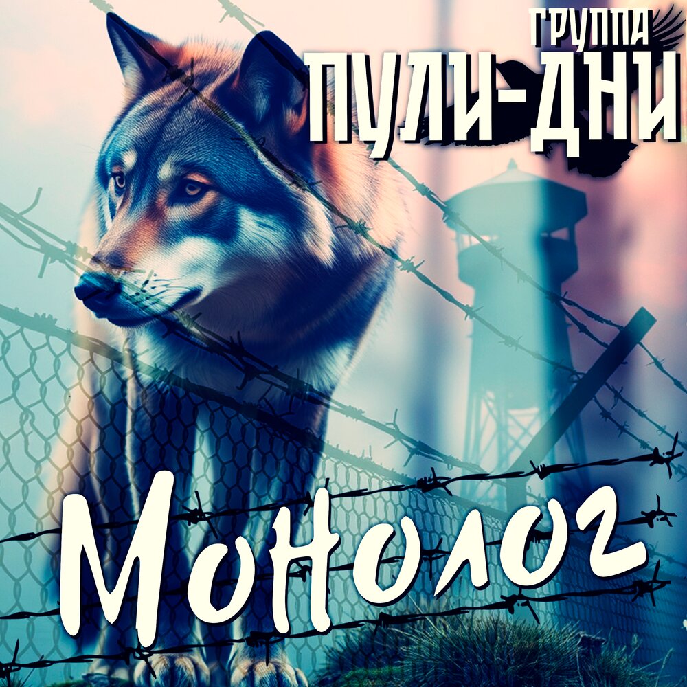 Монолог - Группа Пули-Дни