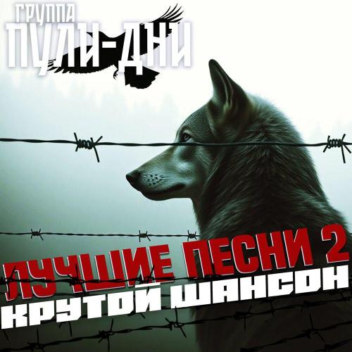 Группа Пули-Дни - Она