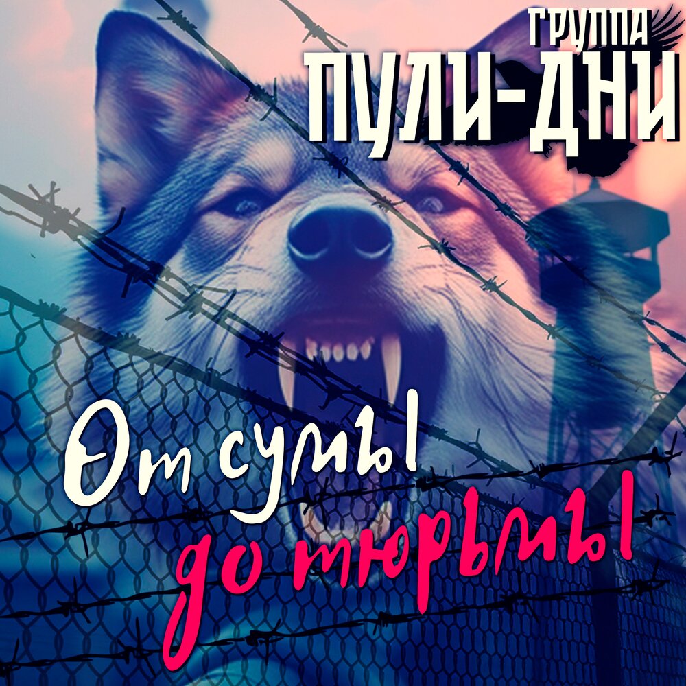 От сумы до тюрьмы - Группа Пули-Дни