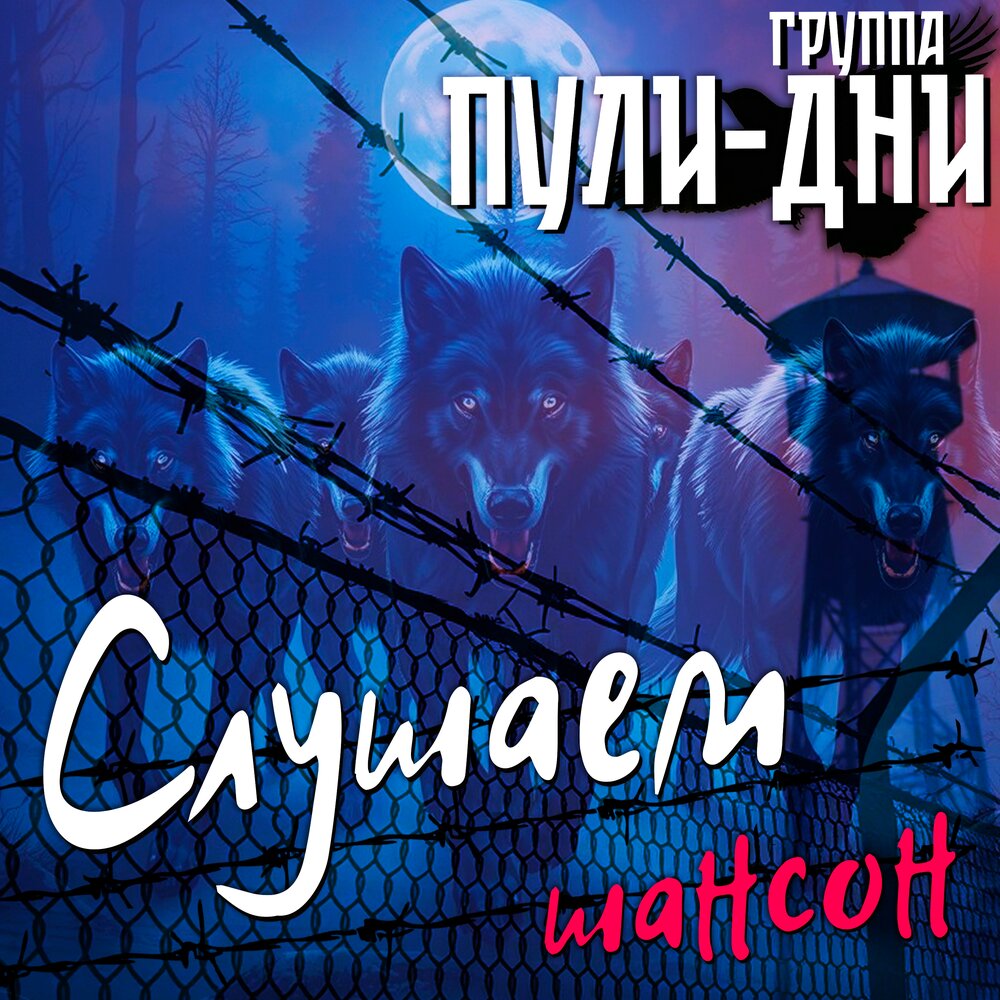 Слушаем шансон - Группа Пули-Дни