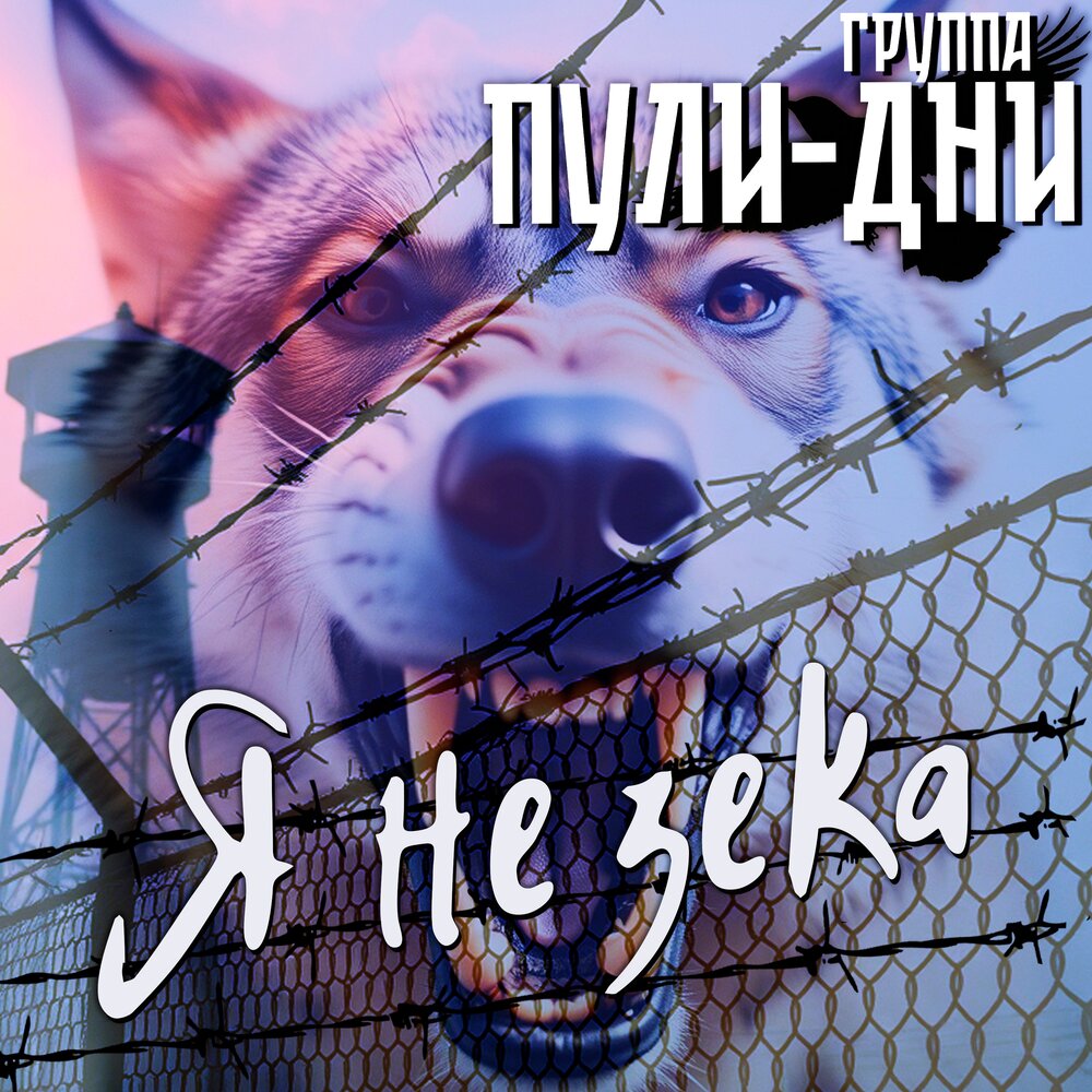 Я не зека - Группа Пули-Дни