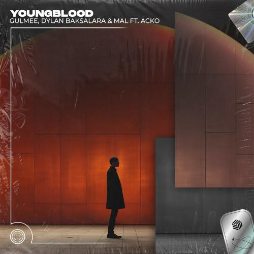 Gulmee, Dylan Baksalara, Mal feat. Acko - Youngblood