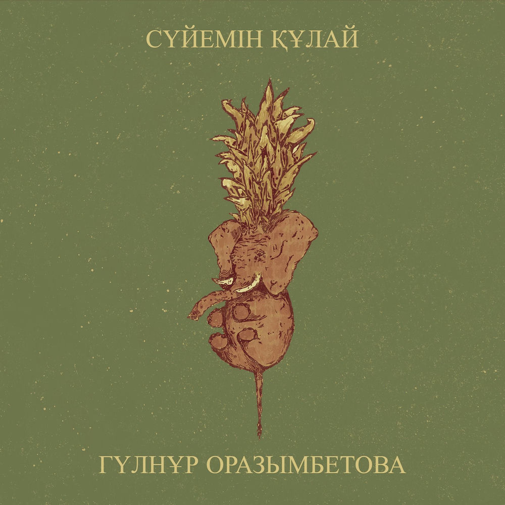Сүйемін Құлай - Гүлнұр Оразымбетова