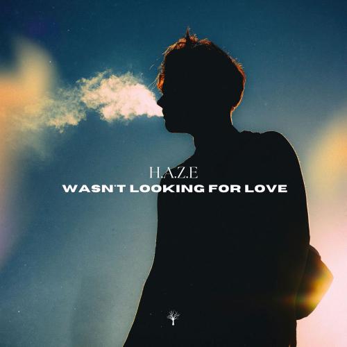 H.a.z.e - Wasn't Looking For Love