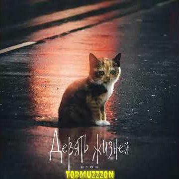 Девять Жизней - H1GH