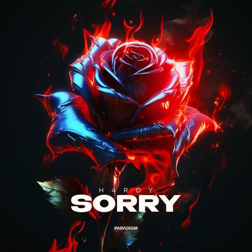Sorry - H4RDY