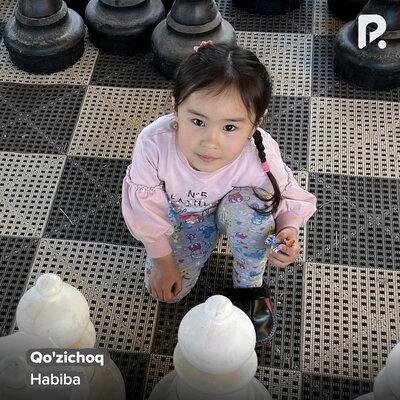 Qozichoq - Habiba