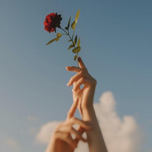хайленд - да и не будет