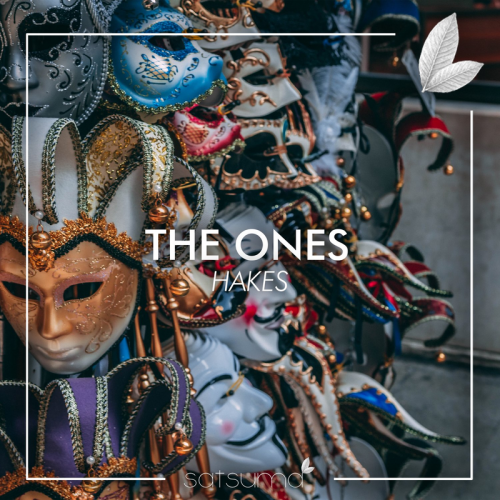 The Ones (Radio Mix) - Hakes