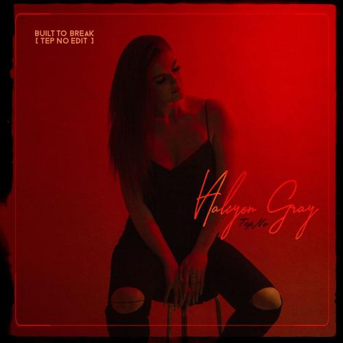 Halcyon Gray & Tep No - Built to Break (Tep No Edit)