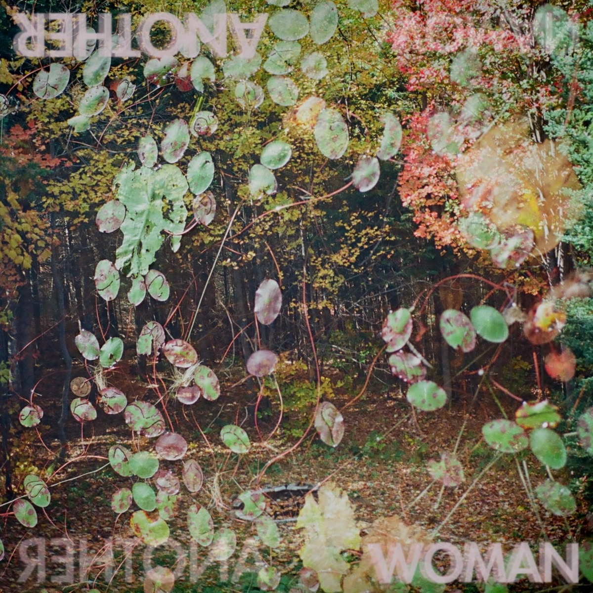 Another Woman - Half Moon Run