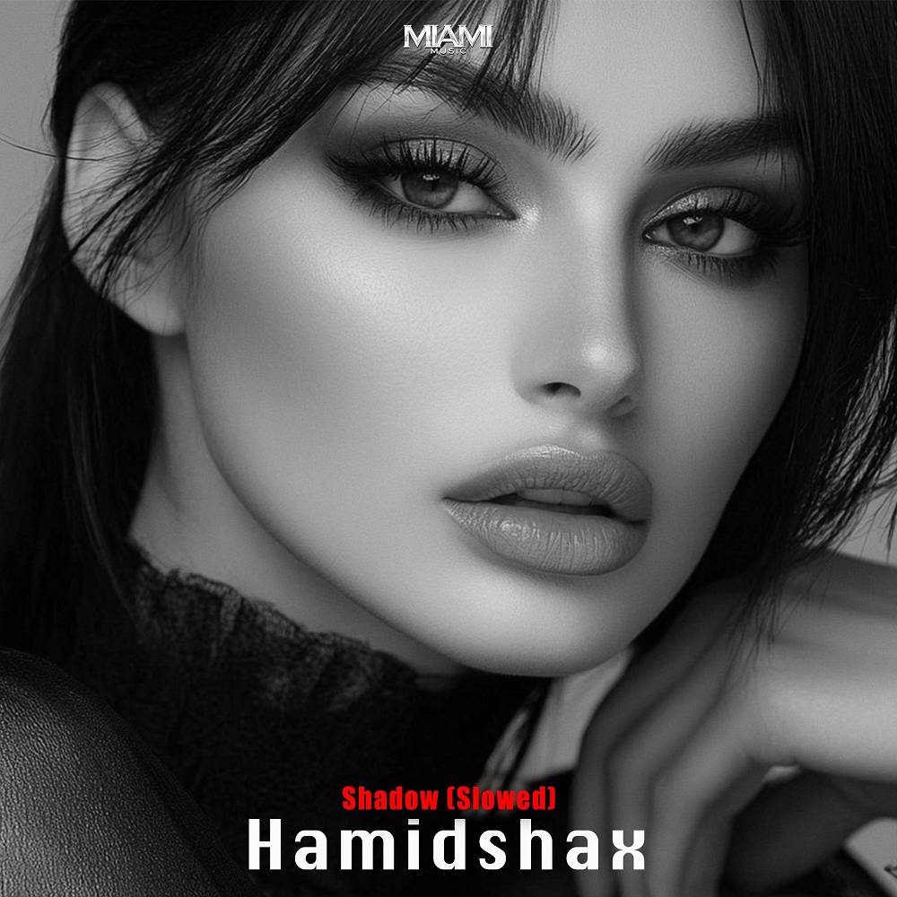 Shadow (Slowed) - Hamidshax