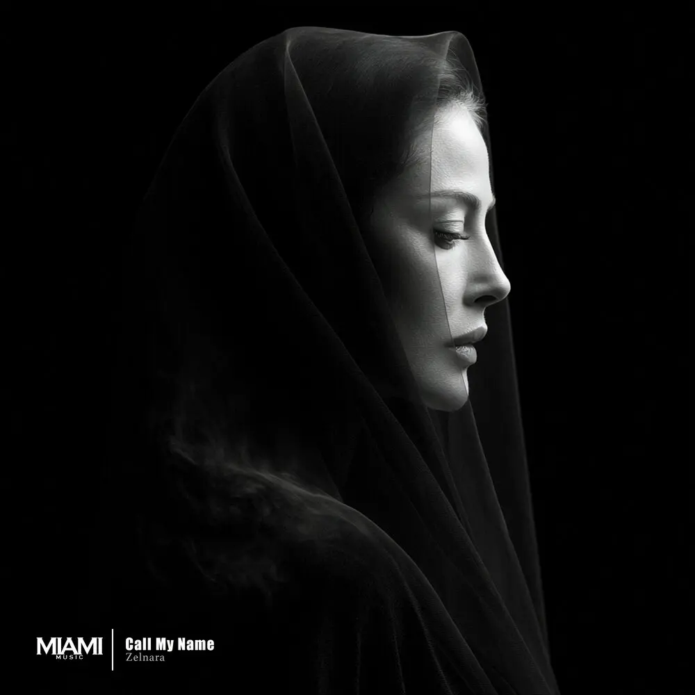 Call My Name - Hamidshax, Zelnara