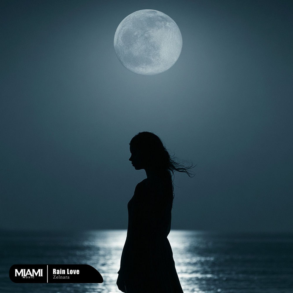 Lost You - Hamidshax & Zelnara