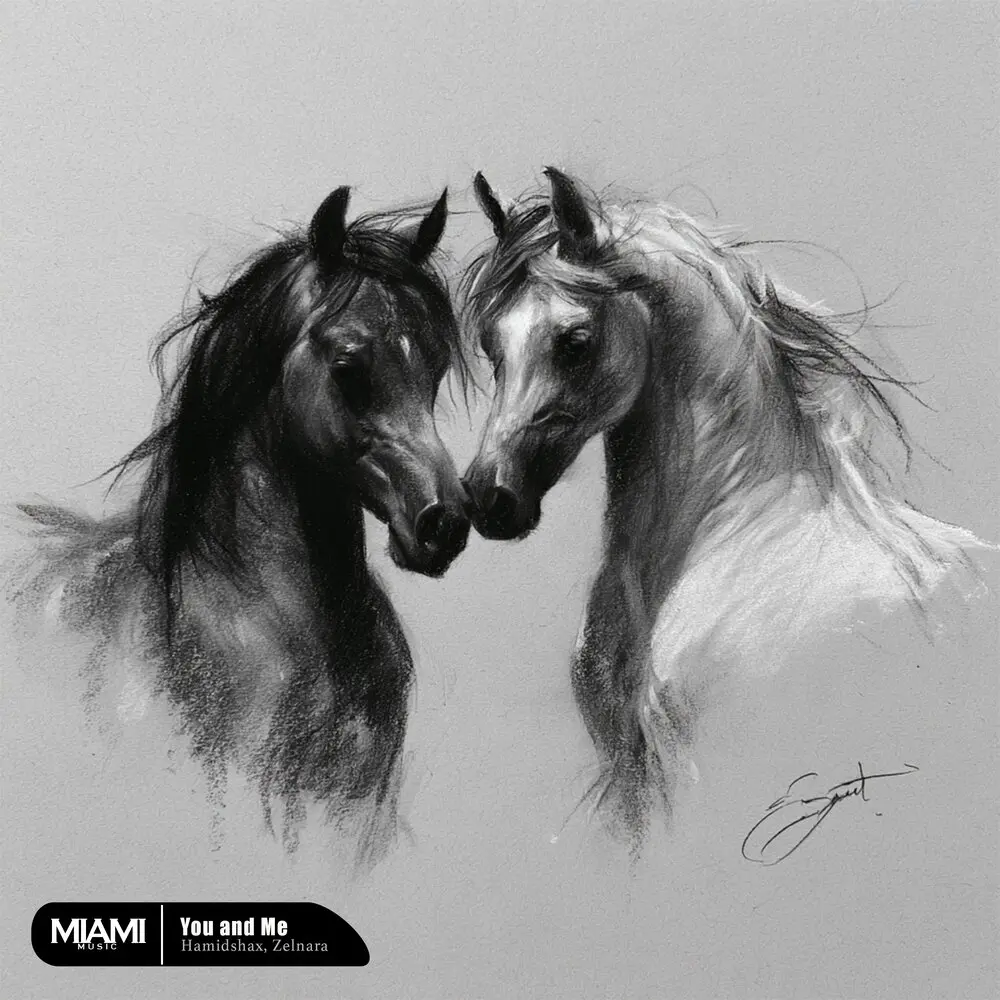 You and Me - Hamidshax, Zelnara