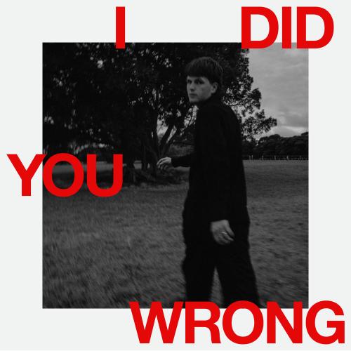 Harry Hayes - I Did You Wrong