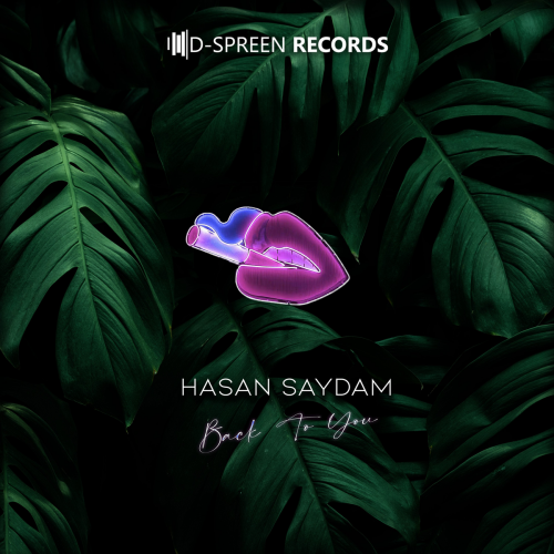 Back To You - Hasan Saydam