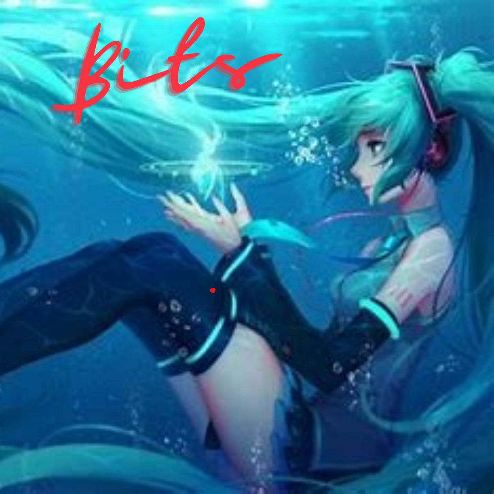 Bits - Hatsune Miku & DJ RdottyBoom
