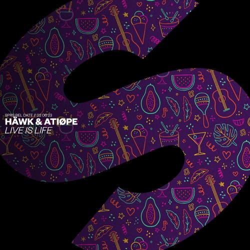 HAWK feat. ATIOPE - Live Is Life
