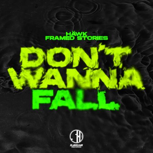 Hawk & Framed Stories - Don't Wanna Fall