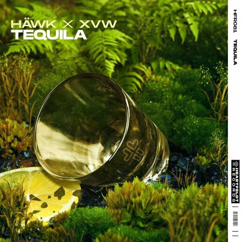 Tequila - Hawk & XVW
