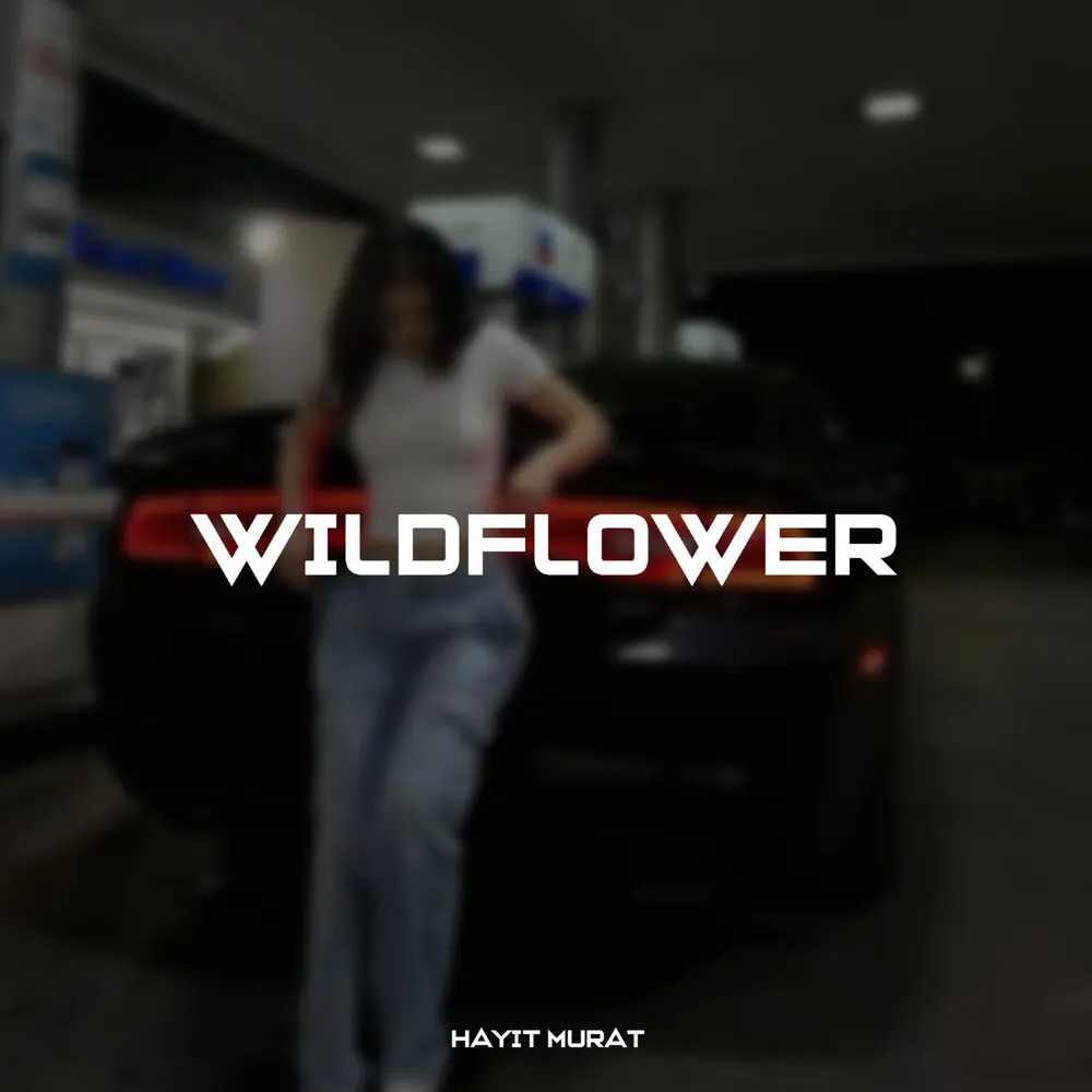 Windflower - Hayit Murat