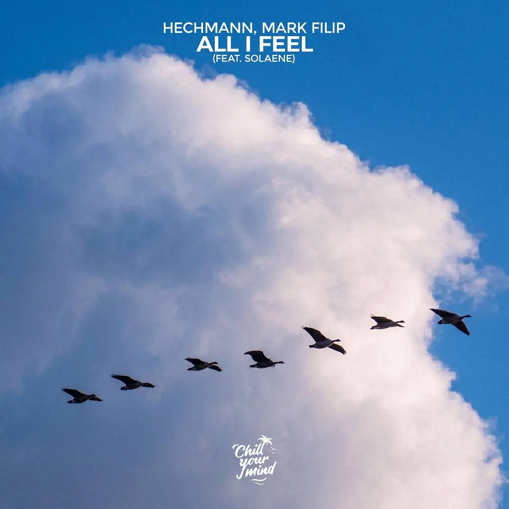 All I Feel (feat. solaene) - Hechmann & Mark Filip