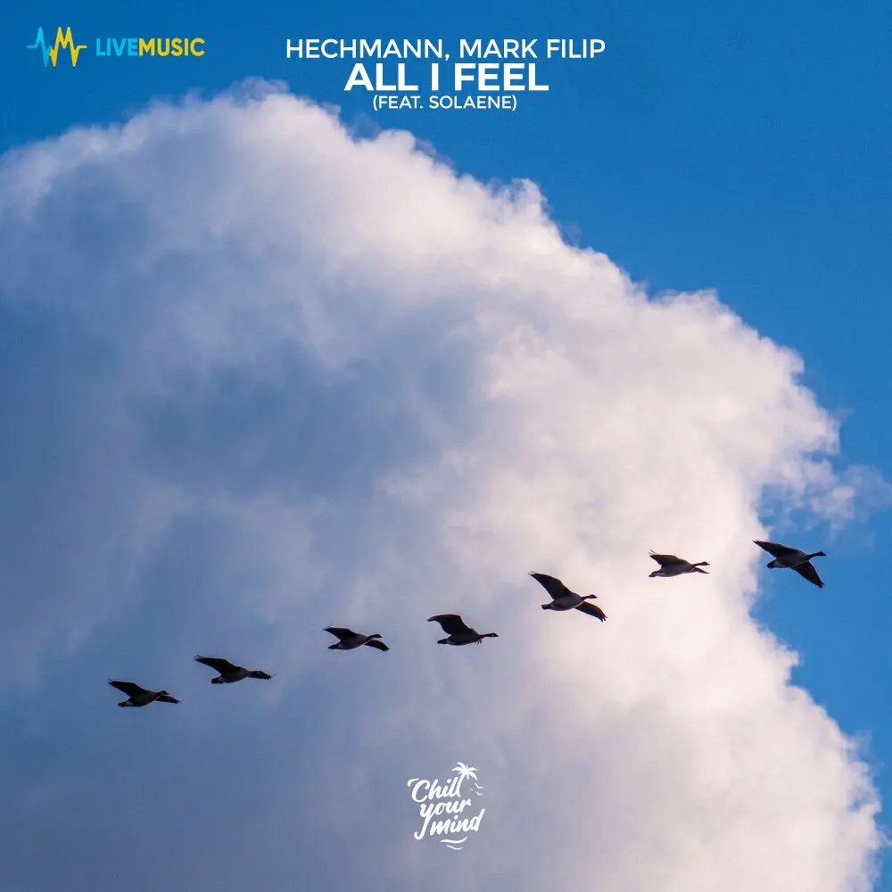 All I Feel - Hechmann, Mark Filip, solaene