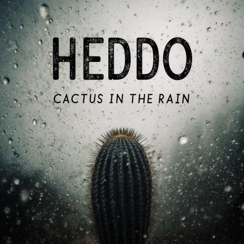 Heddo & Lumi - Cactus In The Rain