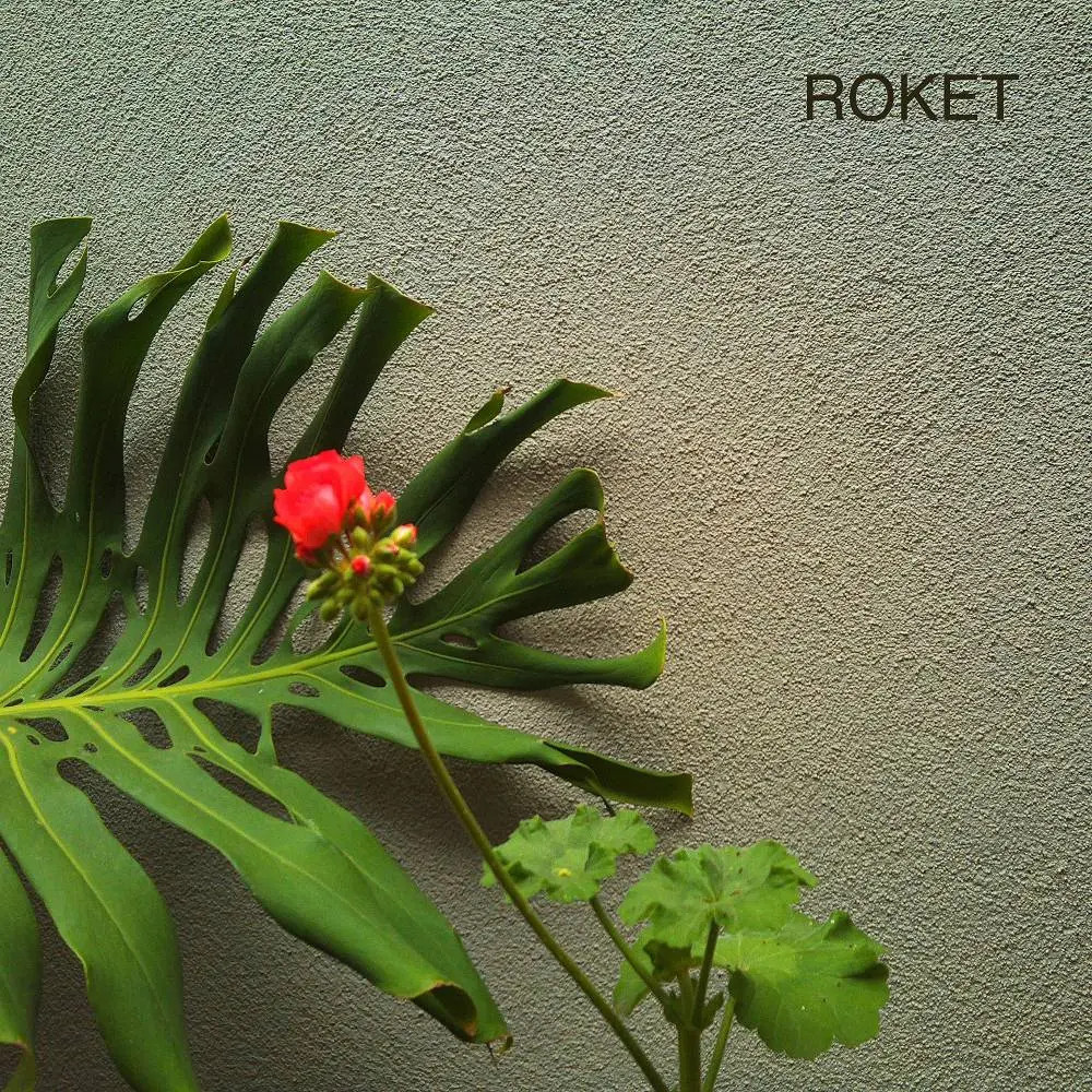 Roket - Hediye Güven