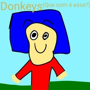Donkeys (Que som é esse) - Heitor Fonseca Amaro