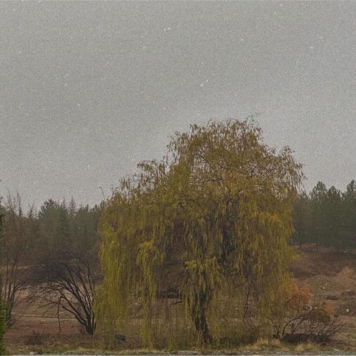 Melek Sırrı - Hemsaye