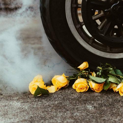 Highly Suspect - Yellow Roses