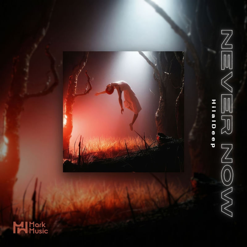 Never Now - HilalDeep