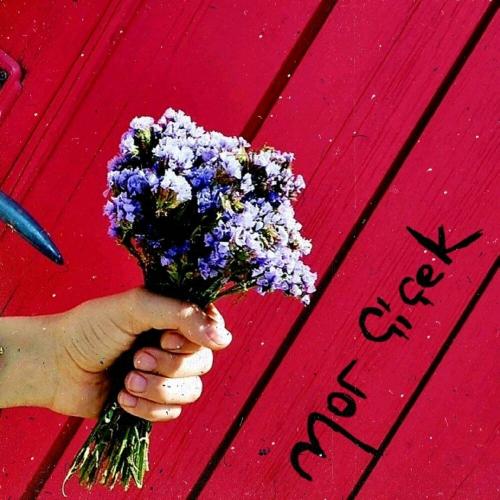 Hirai Zerdüş - Mor Çiçek