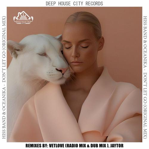Hiss Band, Oceanika & VetLOVE - Don’t Let Go (Vetlove Dub Mix)