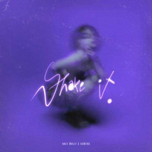 Holy Molly feat. VAMERO - Shake It