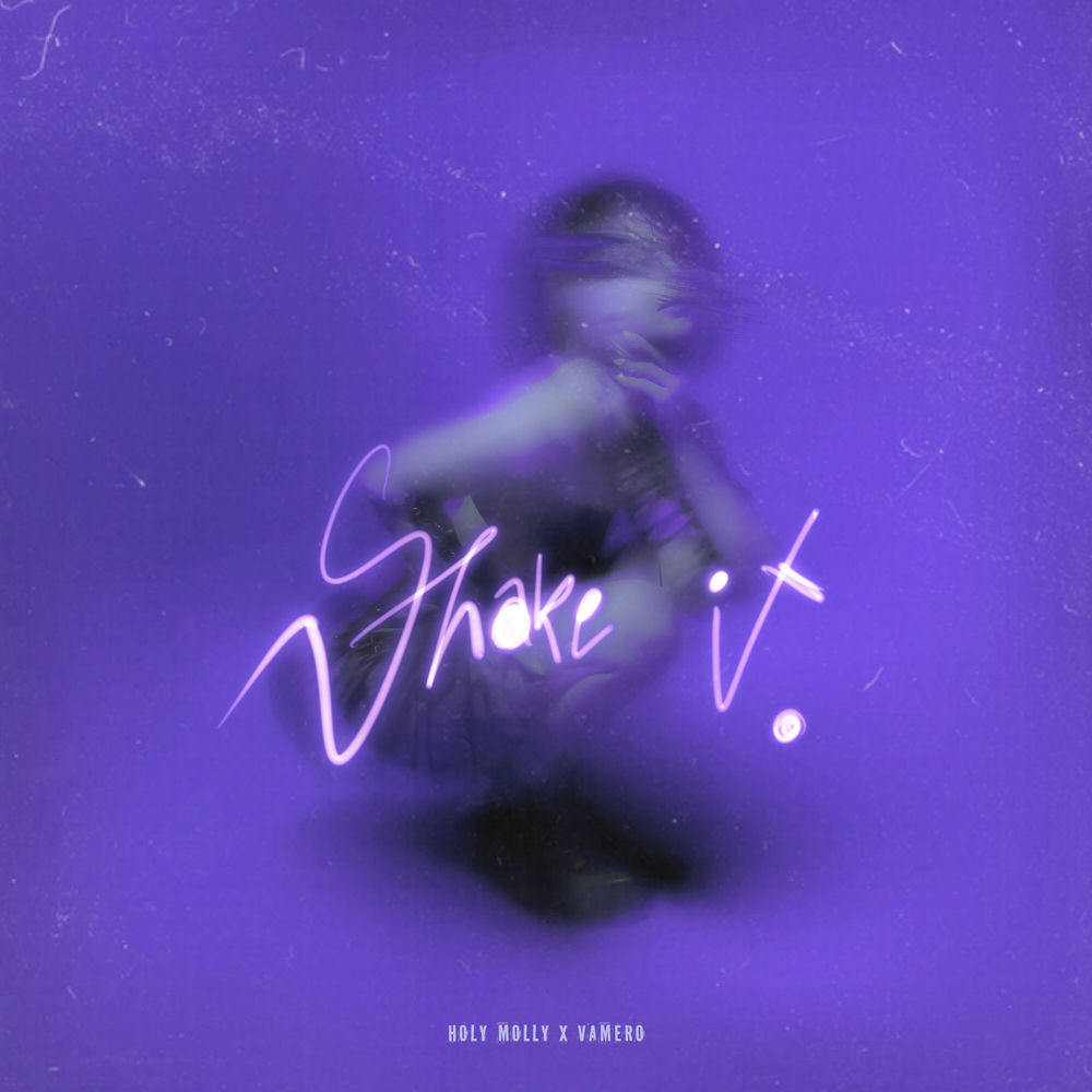 Shake It - Holy Molly & VAMERO