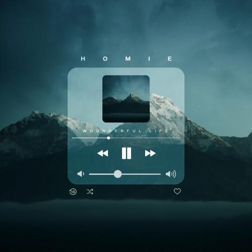 Wonderful Life - HOMIE
