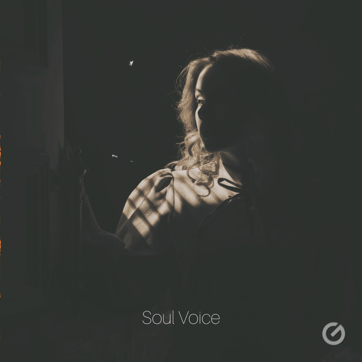 Soul Voice - homyakovv